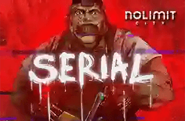 Serial